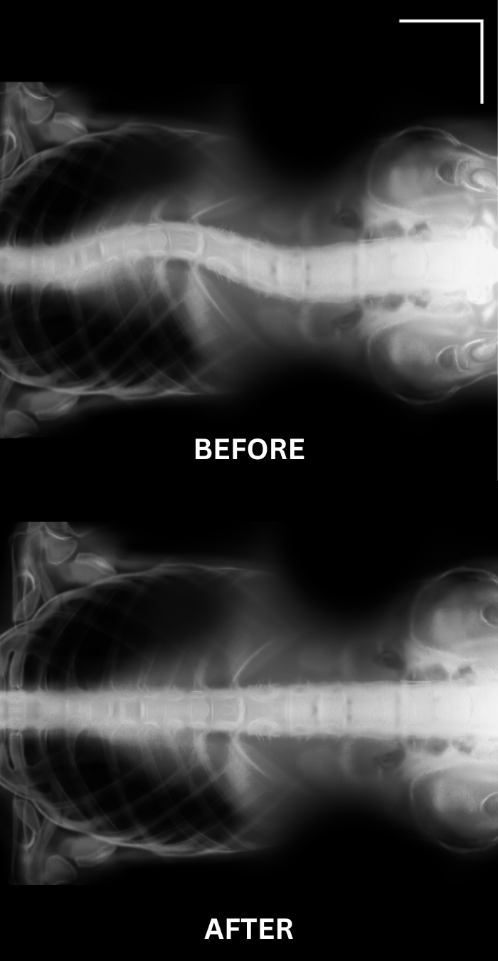 Alt Image